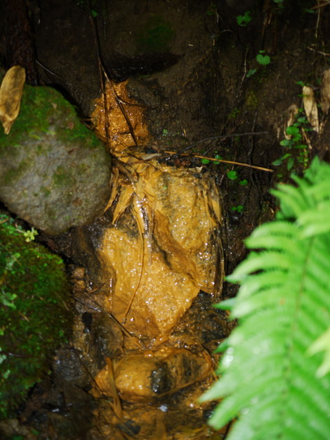 P1150307a.jpg