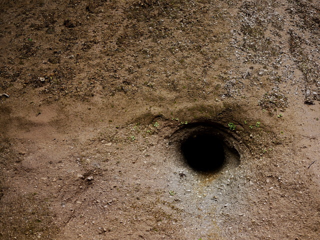 P1150313a.jpg