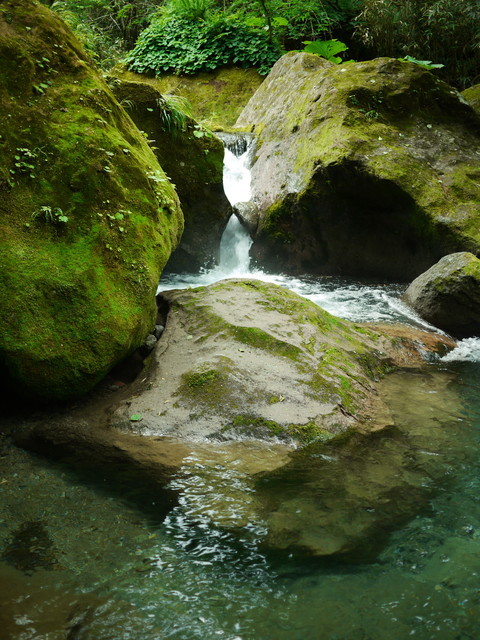 P1150317a.jpg