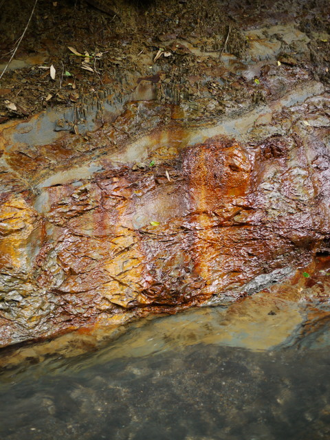 P1150335a.jpg