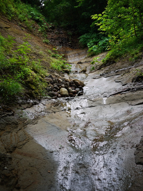 P1150343a.jpg