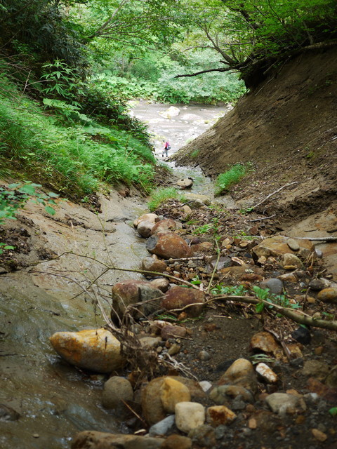 P1150344a.jpg