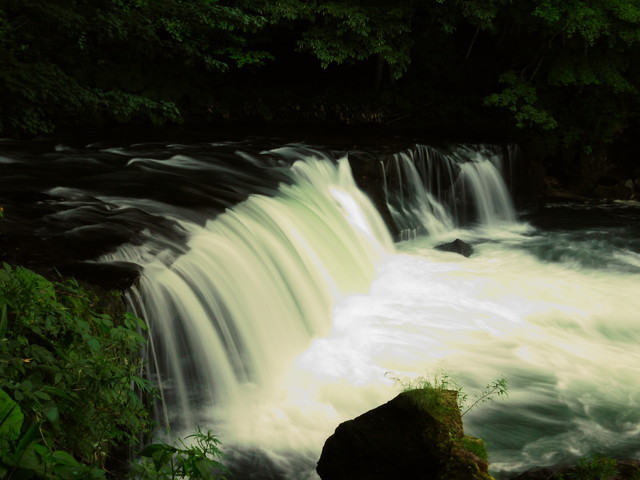 P1160147a.jpg
