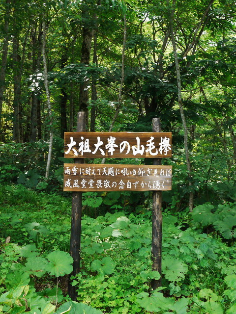 P1210871a.jpg