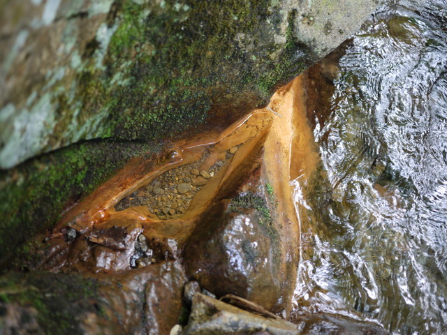 P1210935.jpg