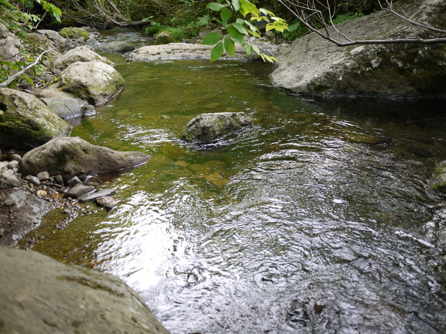 P1210936.jpg