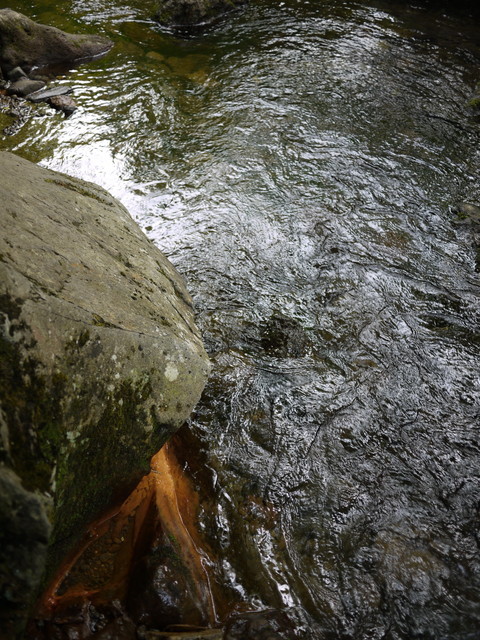 P1210937.jpg