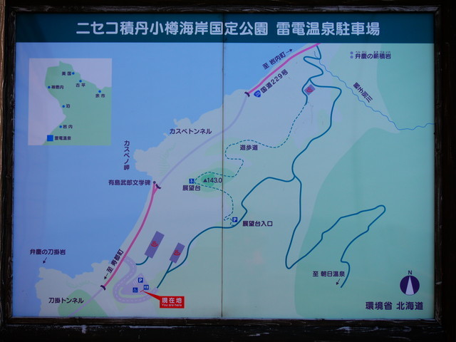 P1230644a.jpg