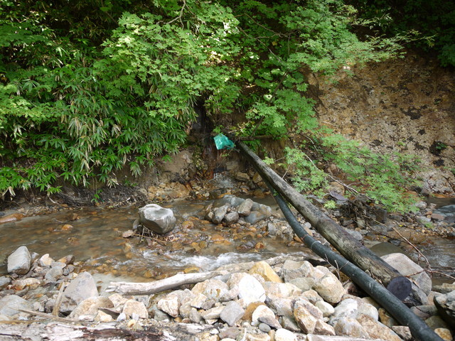 P1230648.jpg