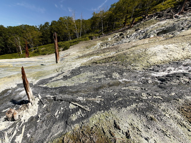 P1250049a.jpg