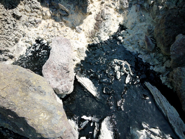 P1250143a.jpg