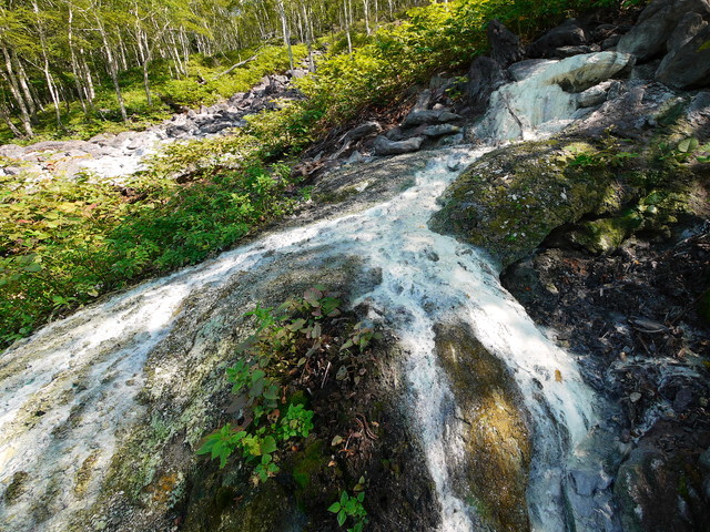 P1250150a.jpg