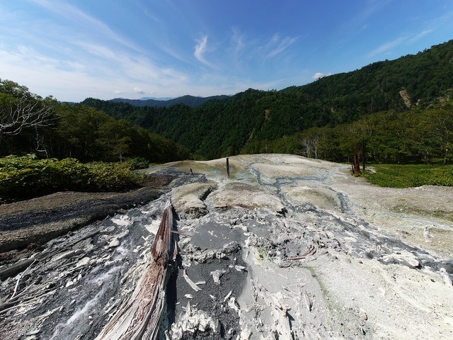 P1250274a.jpg