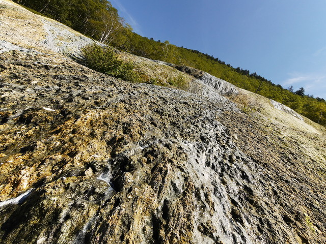 P1250356a.jpg