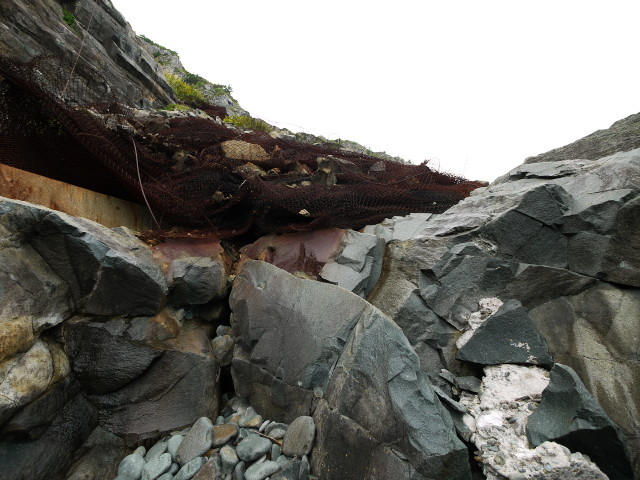 P1250865a.jpg