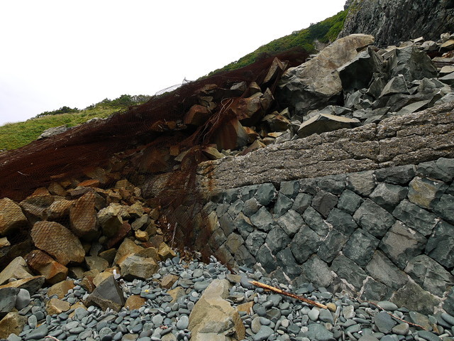 P1250871a.jpg