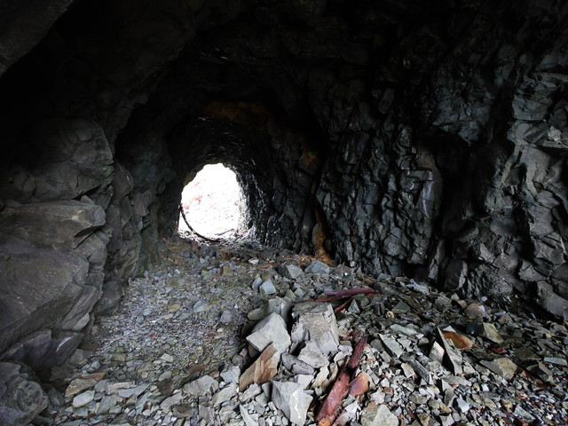P1250887a.jpg
