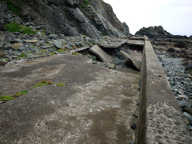 P1250888a.jpg