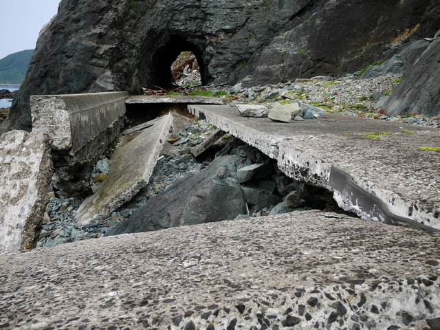 P1250899a.jpg