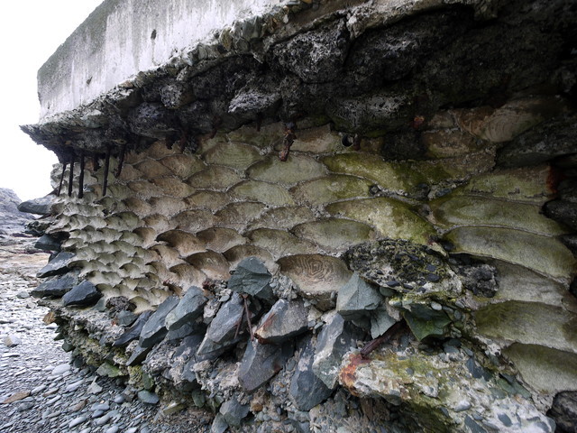 P1250901a.jpg