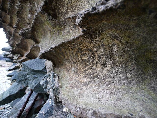 P1250903a.jpg