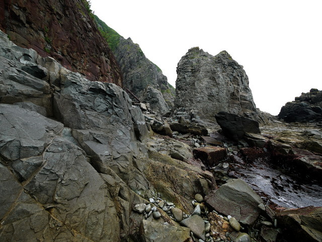 P1250915a.jpg