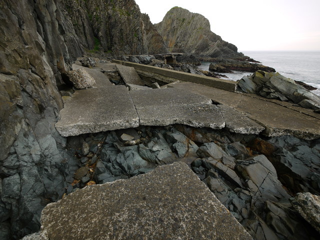 P1250973a.jpg