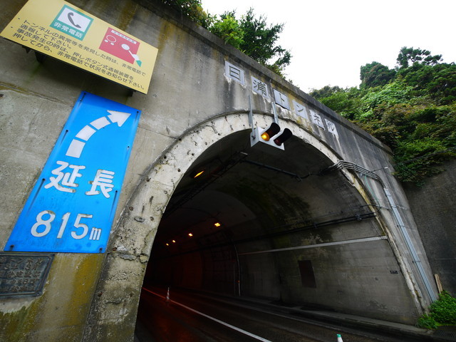 P1250995a.jpg