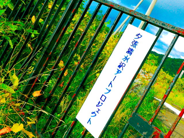 P1260701a.jpg