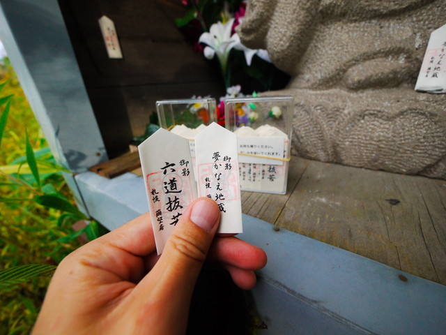 P1260711a.jpg
