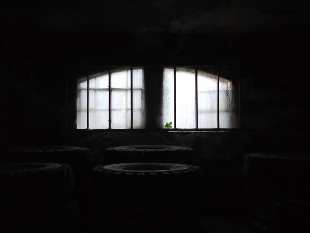 P1260881a.jpg
