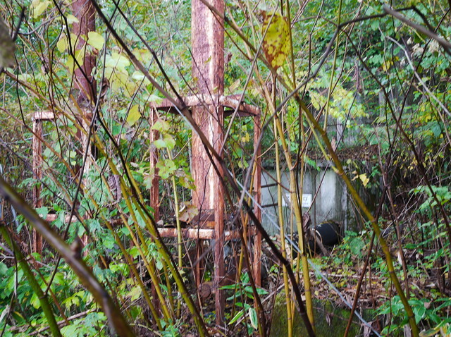 P1270737a.jpg
