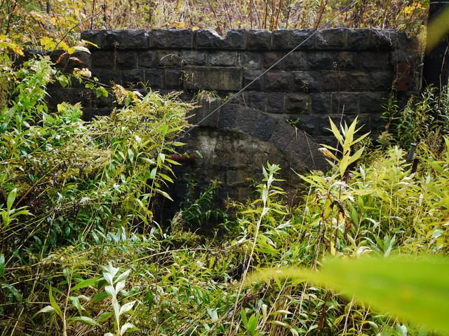 P1270738a.jpg