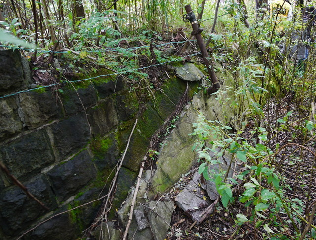 P1270743a.jpg