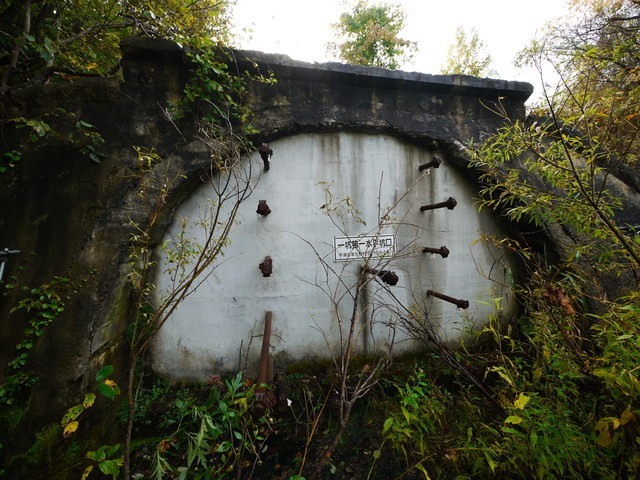P1270748a.jpg