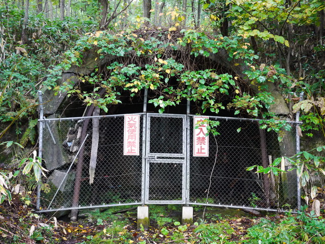 P1270760a.jpg