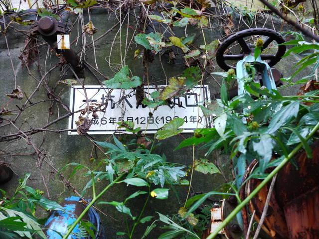 P1270763a.jpg