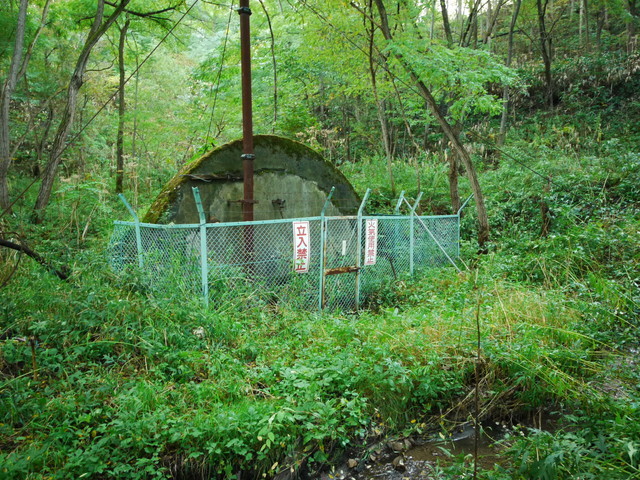 P1270787a.jpg