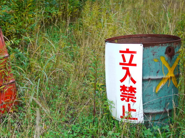 P1270796a.jpg