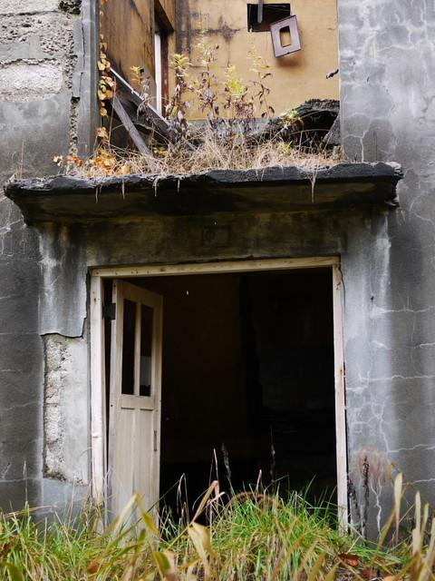 P1280437a.jpg