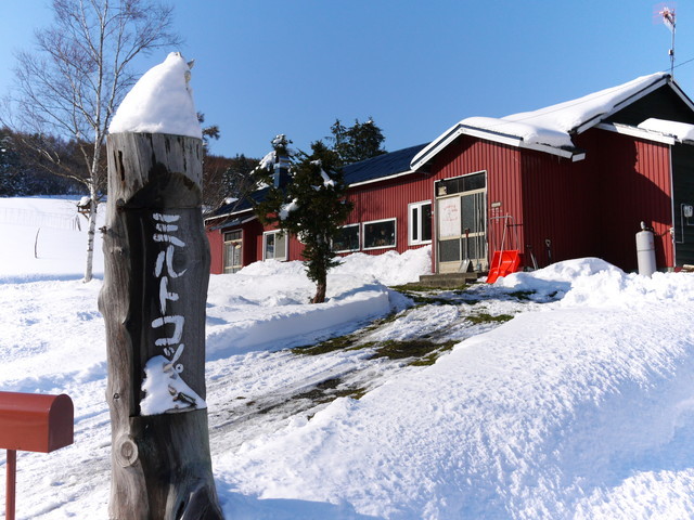 P1290531a.jpg