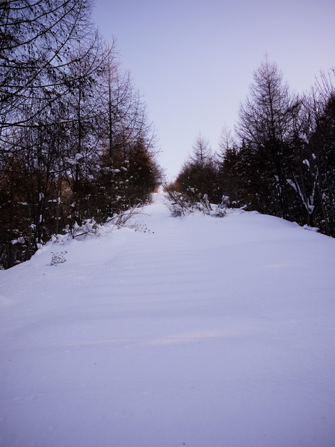P1290692a.jpg