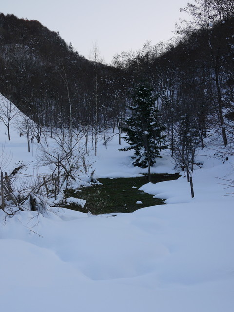 P1290776.jpg