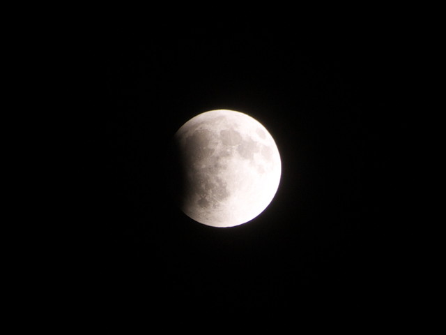 P1290985a.jpg