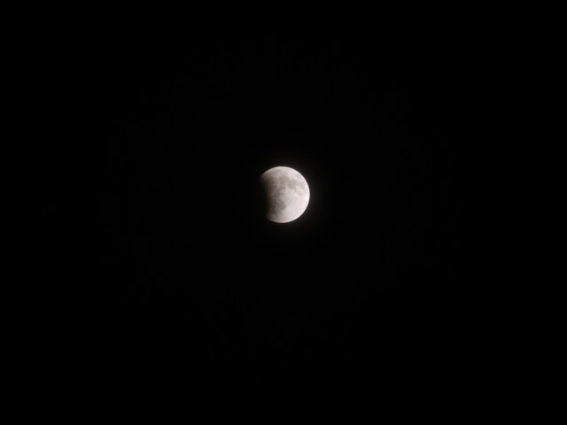 P1290990.jpg