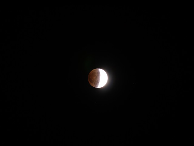 P1300030.jpg