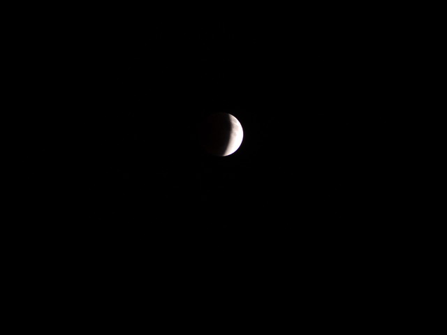 P1300045.jpg