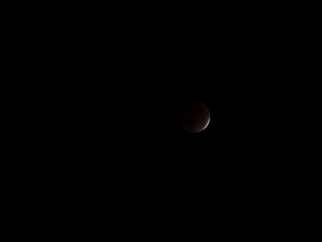 P1300111.jpg