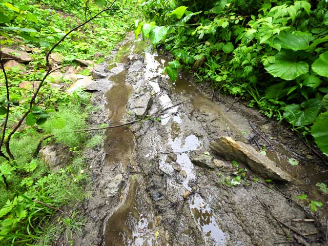 P1320833.jpg