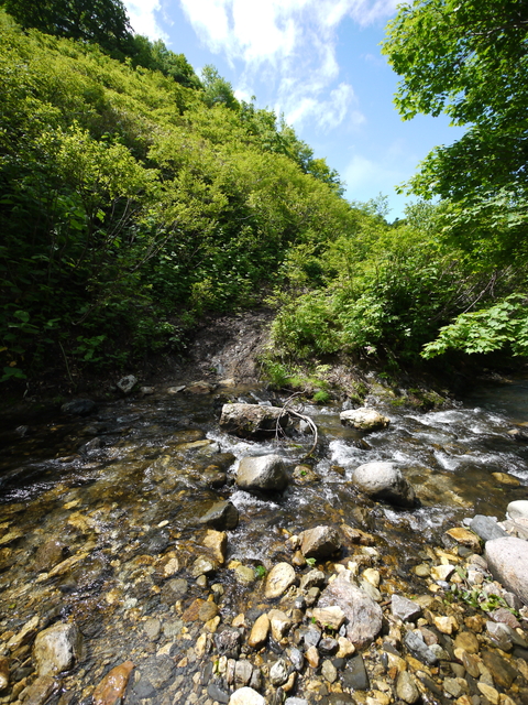 P1320960.jpg